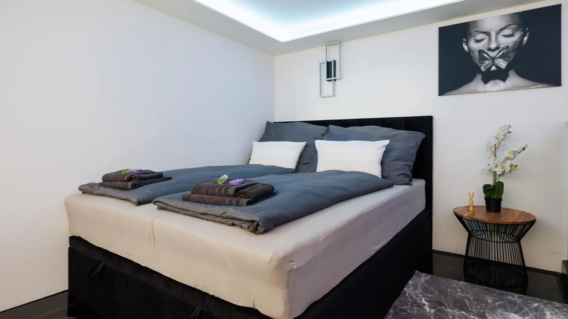 Geschaeftlich&Modernes Apartment Vienna